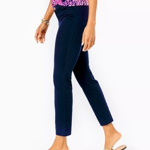 Lily Pulriter Ankle Length Skinny Pant
